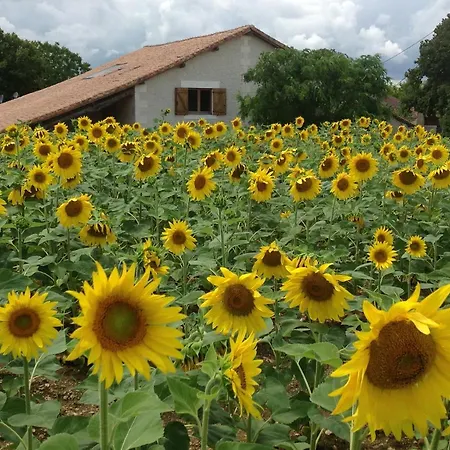 Les Gravats Du Bost Villa Les Essards (Charente)